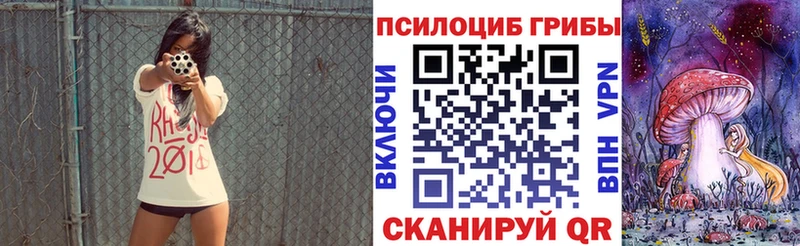 Псилоцибиновые грибы прущие грибы  как найти наркотики  Суворов 