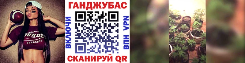 Бошки марихуана Amnesia  KRAKEN рабочий сайт  Суворов 